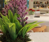 Restaurant Hotel & SPA Del Mar